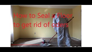 Step by Step - How to SEAL A SUBFLOOR for pet stains and smells