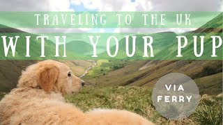 How to travel to the UK with your Dog | Pamthevan