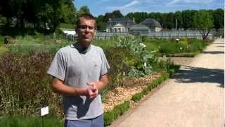 preview picture of video 'Jardin de Picardie : le Jardin des Plantes d'Amiens'