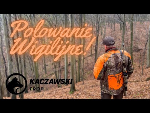 Wigilijne polowanie zbiorowe! / Christmas driven hunt!