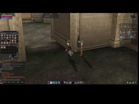 Lineage II: The Chaotic Chronicle 3: Rise of Darkness Firebird x1