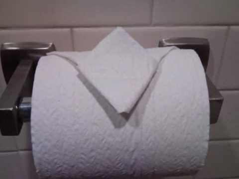 My Toilet Paper Origami Designs