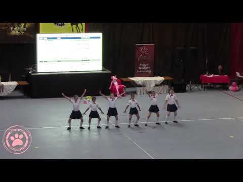 Pink Panthers TSE - Apollo 11