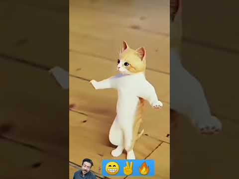 #funny #cutiest #dance #catkittenanimal #cat #cuttest #catlover #comedy #animal #funnycat#cat