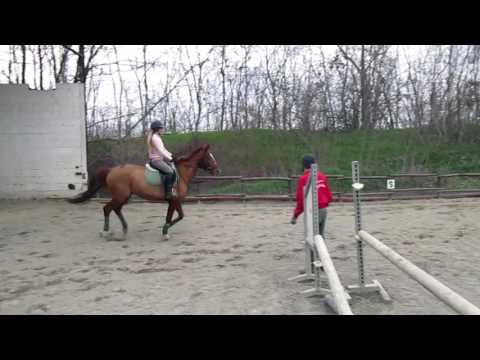 Percorso prima della gara - Fiamma Chic