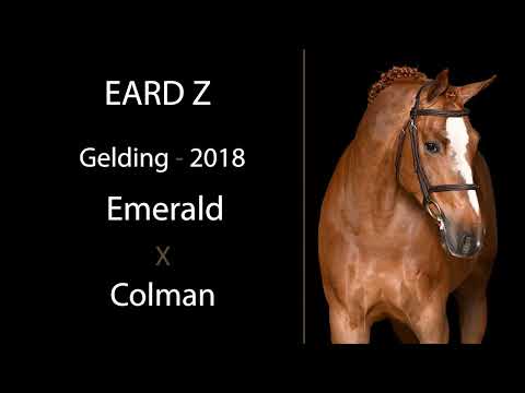 Eard Z video