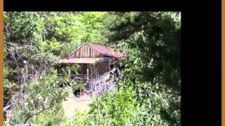 Patches -- Dickey Lee