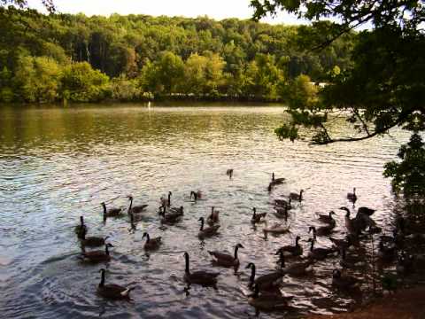 Ulysses Brown- Abba Father (He Is Lord)