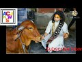 Aniruddhacharya Ji WhatsApp Status Part 95