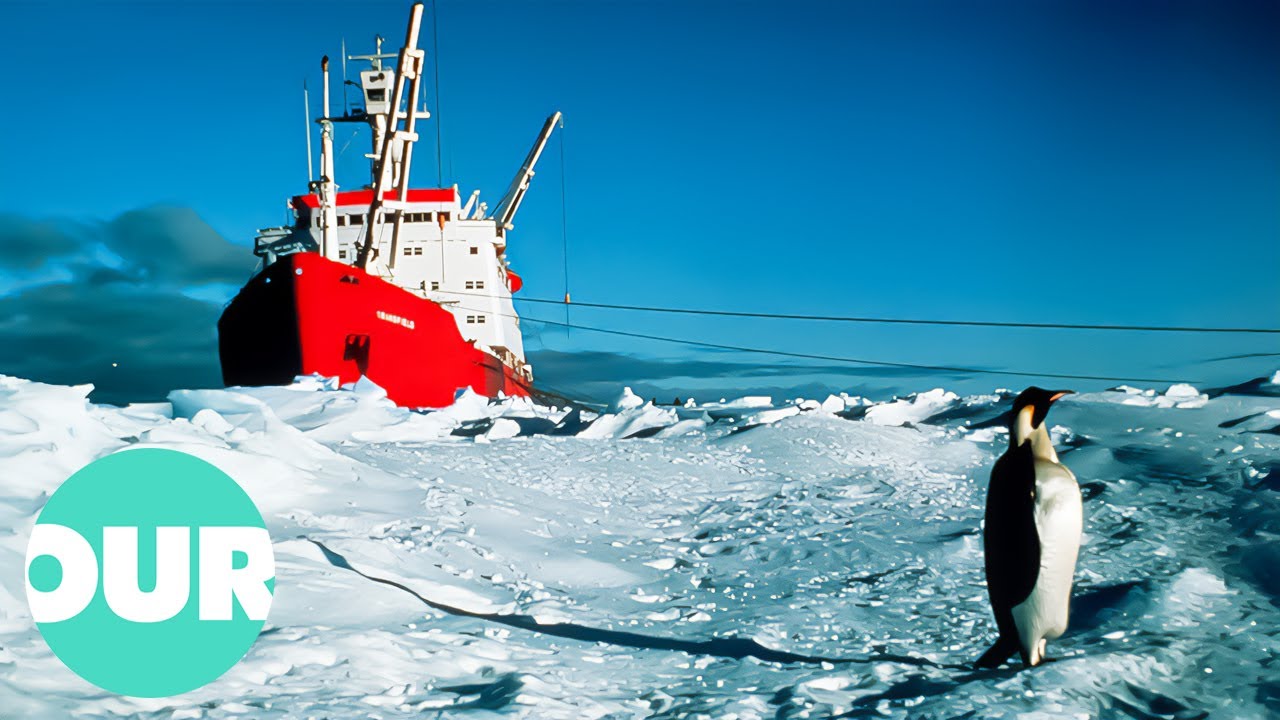 Can We Still Save Antarctica From Disappearing?