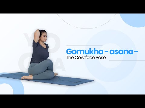 Gomukha - asana - The Cow face Pose
