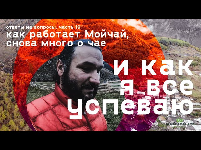 Ответы на вопросы, часть 19.  Как работает Мойчай.ру, много о чае, и как я все успеваю