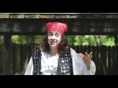 THE BIT PIRATE