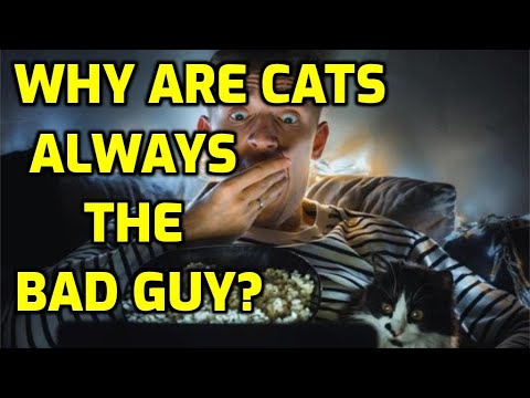 Why Are Cats Always Evil In Movies?