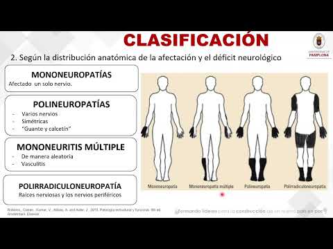 Neuropatías Periféricas [Medicina Interna]
