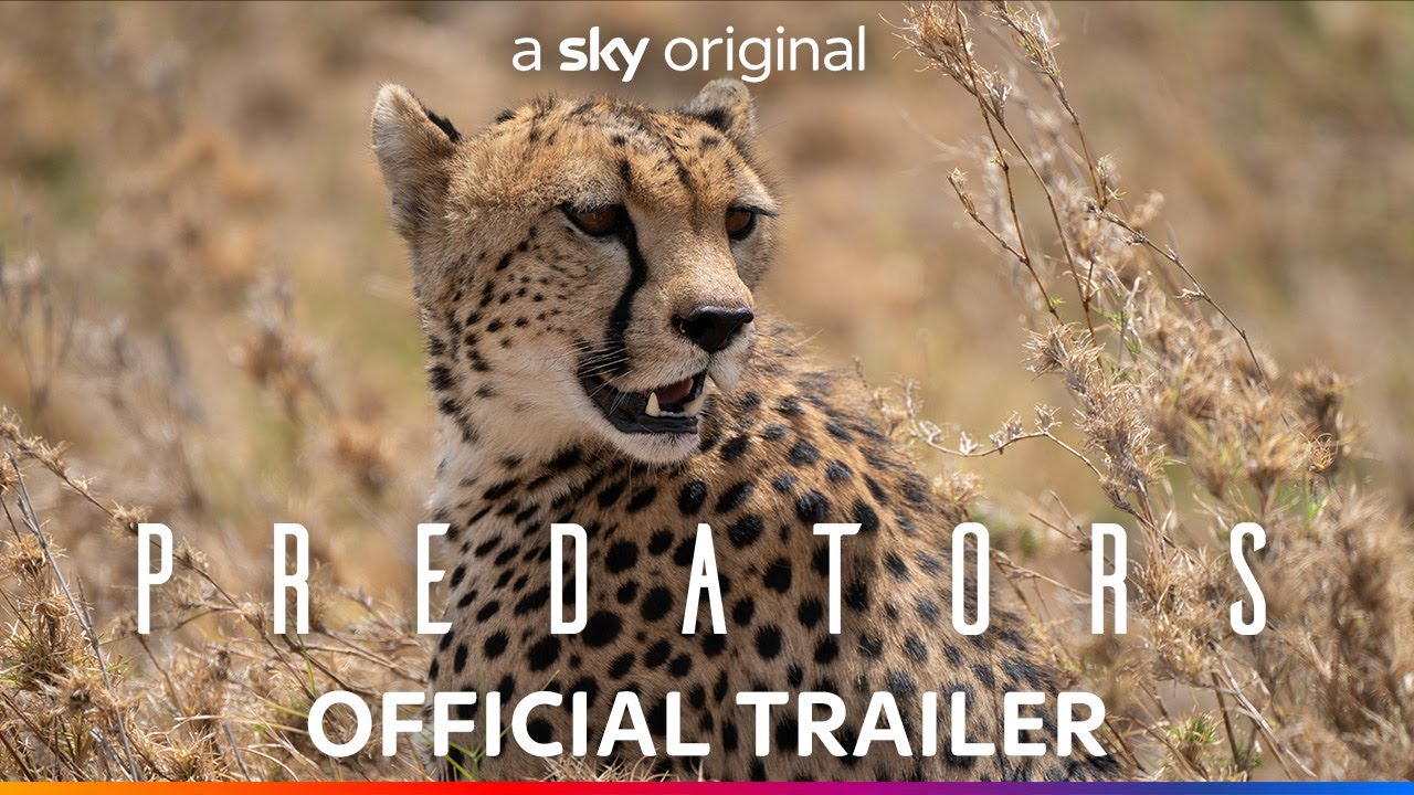 Official Trailer