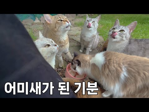 식구 많은 집이라 식탐이 많아요.