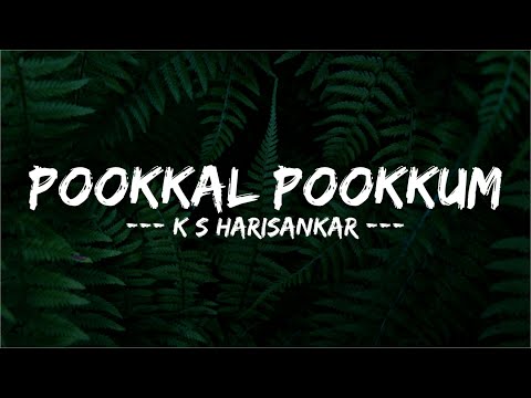 POOKKAL POOKKUM THARUNAM COVER SONG | Lyrics | Black Memories