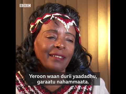 Isheen Eenyu_- 11_ Abbabach Ajjamaa dirmaafi fiilmii Afaan Oromoo isa kam keessat