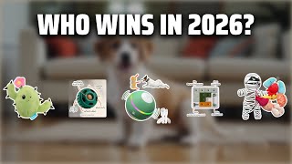 The Top 5 Best Dog Chew Toys in 2026 - Must Watch Before Buy