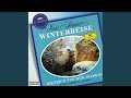 Schubert: Winterreise, D.911 - 22. Mut