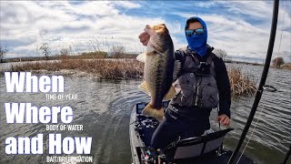 This is how I caught 50 big bass (Bait and Location revealed)