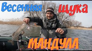 Ловля щуки осенью на мандулу