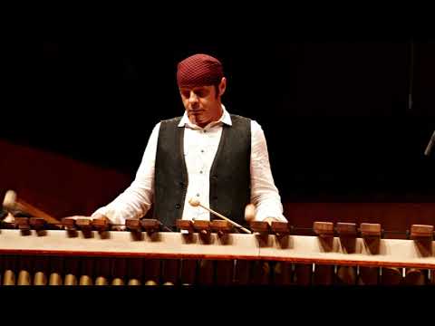 Feel the Sunlight - Ludwig Albert - marimba solo - Best Classical Music Award 2021 US