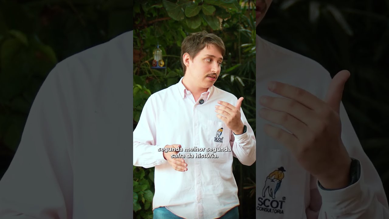 Mercado Sem Rodeios - Episódio 550 - Milho e boi gordo: preços firmes pela frente?