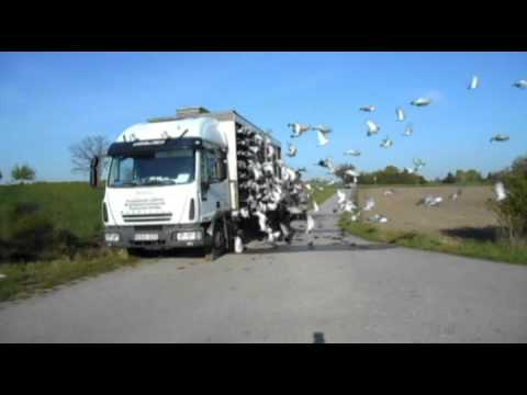 20160430 Drasenhofen