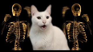 Halloween Cats - Cats Sing GhostBusters - Cats Parody
