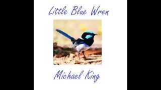 Little Blue Wren
