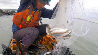Chasing MILLIONS of Fish in the San Francisco Bay (Announcement)