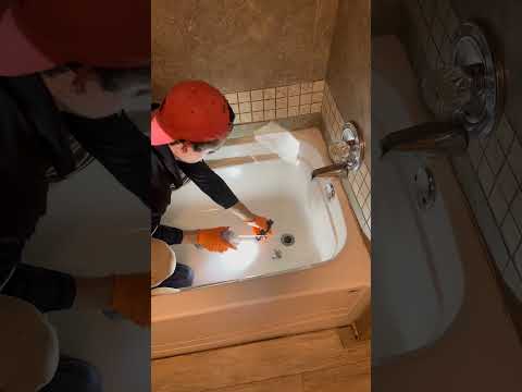 How to Get Rid of Drain Flies #pestcontrol #drainflies