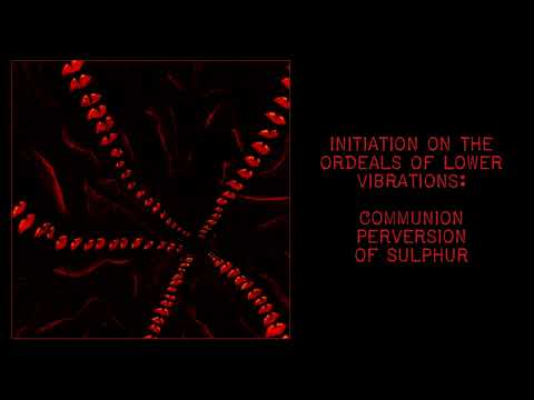 INFRA - Initiation on the Ordeals of Lower Vibrations, 2015