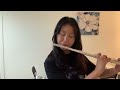Prokofiev Peter And The Wolf Flute Excerpt
