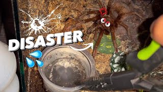 WATERING my TARANTULAS at night ~ GONE WRONG !!! “(Part 12 ??)”