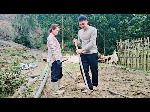 On his day off, Doctor HOP came to help DON with his work