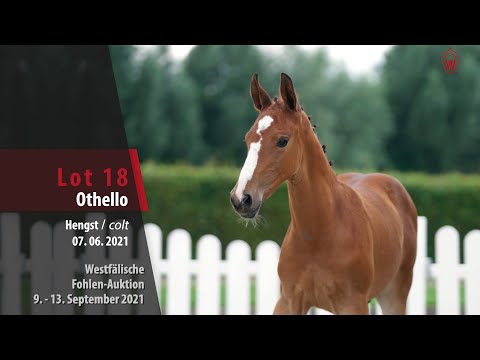 Fohlen-Auktion Lot 18 Othello Hengst v. Ogano Sitte - Corano