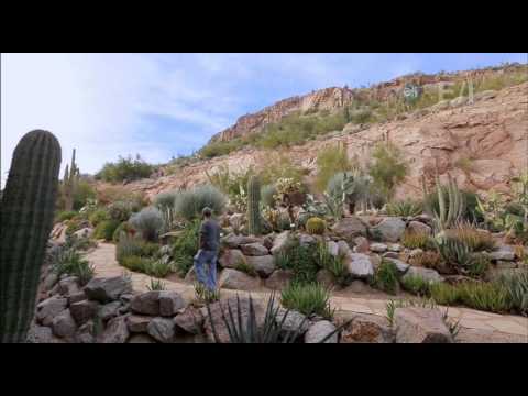 Jack Hanna's "Into the Wild" at The Phoenician