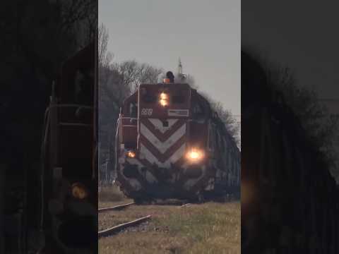 6619 FEPSA CON EL ACEITERO POR CORONEL SUÁREZ #gr12 #train #argentina