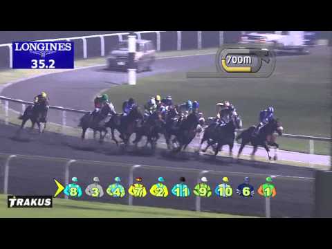 27.02.2014 Meydan (Dubai-UAE) 2.Race Swaidan Tr. Heavy Equipment Division Trophy - Handicap 1.200 m