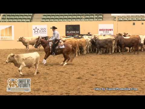 Tanks A Million ridden by Bubba M. Petty  - 2016 NRCHA Snaffle Bit Futurity (Herd Work - NP Prelims)
