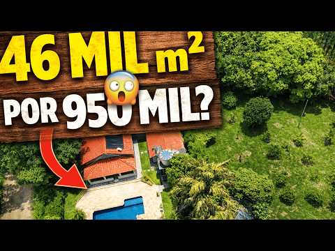 Chácara produtiva em Guareí com 46.000m² por R$ 950 mil – Vale a pena?