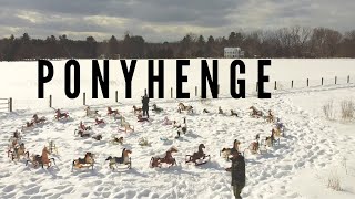 PONYHENGE | A Lenda do Cemitério de PÔNEIS e CAVALOS Abandonados