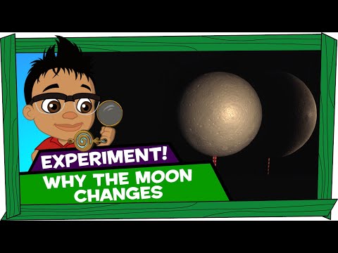 Kid Experiments: Why the Moon Changes - Darwin and Newts