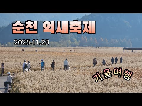국내여행 가볼만한곳 순천만 갈대숲 (억새축제) 강진만 갈대 둘레길, 순천 국가정원 #풍경소리tv