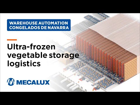 Large-scale cold-chain logistics automation - Congelados de Navarra