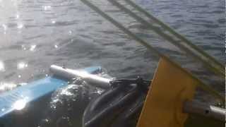 preview picture of video 'Caiaque à vela Veleiro K na Laguna de Itaipu. Estréia da escota a vante.'