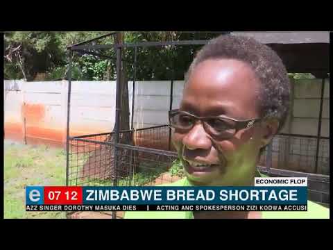 WATCH: Zimbabwe’s bread shortage